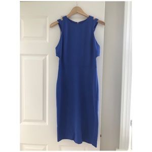 Fitted Blue Dress